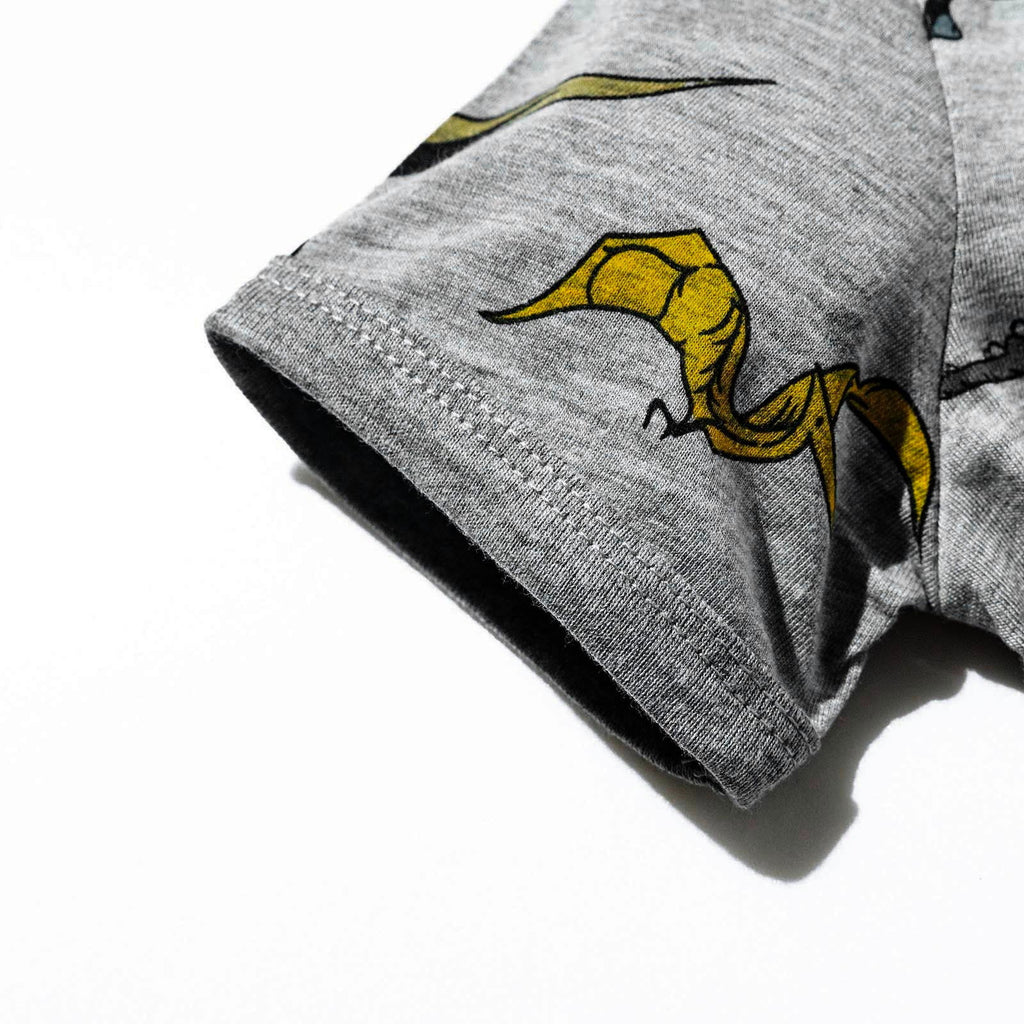 TOWED22 Toddler Boy Shorts Set - 2 Piece Short Sleeve Graphic Tees and Stretch Shorts for Boys - Toddler Summer Clothes(Grey,4-5 Y)