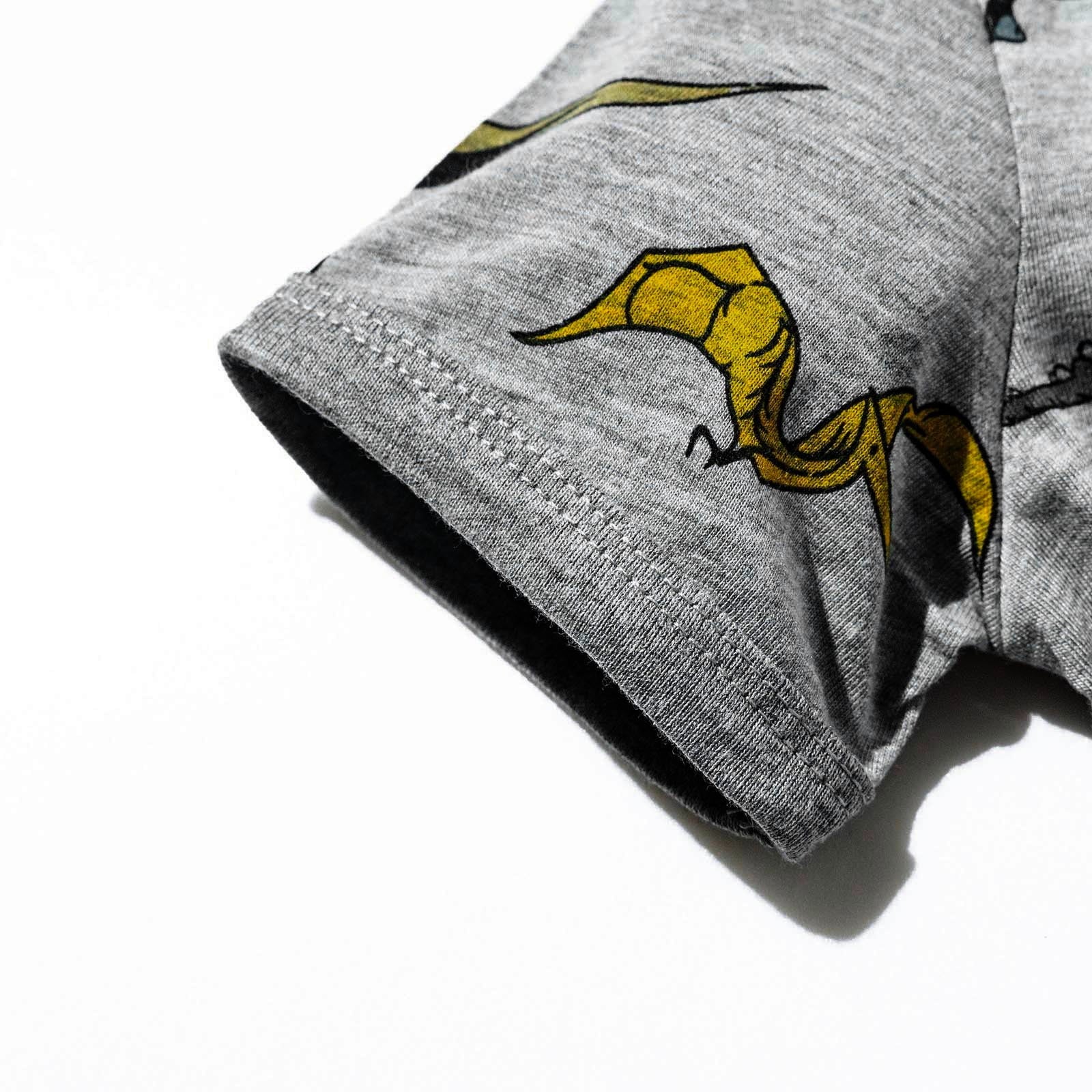 TOWED22 Toddler Boy Shorts Set - 2 Piece Short Sleeve Graphic Tees and Stretch Shorts for Boys - Toddler Summer Clothes(Grey,4-5 Y)