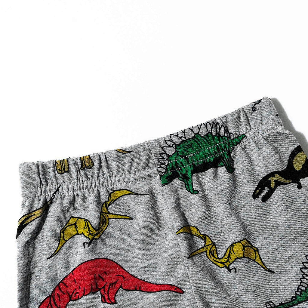 TOWED22 Toddler Boy Shorts Set - 2 Piece Short Sleeve Graphic Tees and Stretch Shorts for Boys - Toddler Summer Clothes(Grey,4-5 Y)