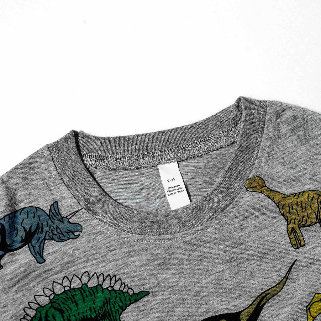 TOWED22 Toddler Boy Shorts Set - 2 Piece Short Sleeve Graphic Tees and Stretch Shorts for Boys - Toddler Summer Clothes(Grey,4-5 Y)