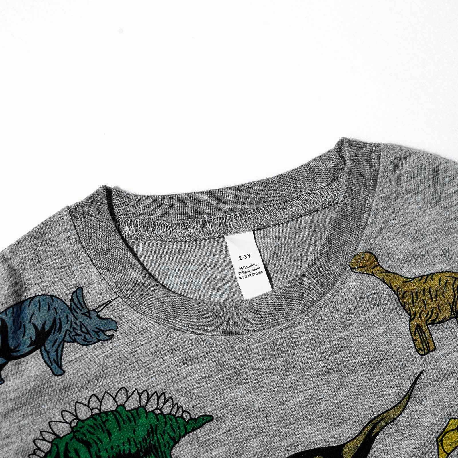 TOWED22 Toddler Boy Shorts Set - 2 Piece Short Sleeve Graphic Tees and Stretch Shorts for Boys - Toddler Summer Clothes(Grey,4-5 Y)